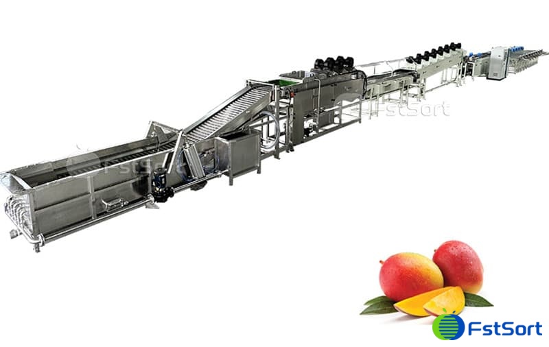 images/1678948899528mango processing line.jpg